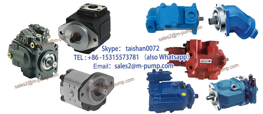 Domestic Use Garden Water Pump for Agriculture