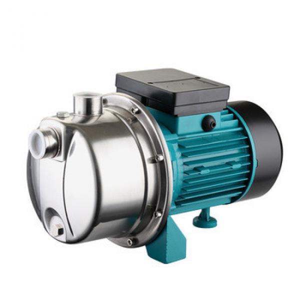 LEO Multistage Stainless Steel Centrifugal Pumps For Water #1 image