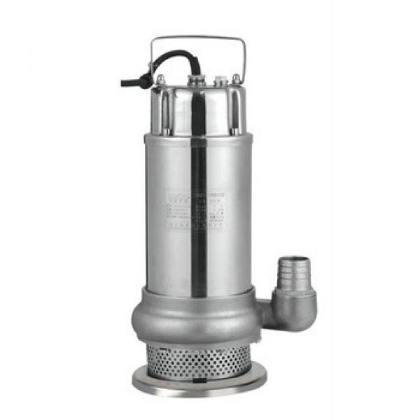 304 stainless steel clean water submersible pump #1 image