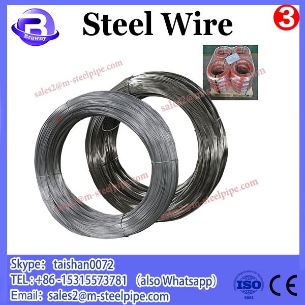 China galvanized patented steel wire 2.15mm with best price #2 image